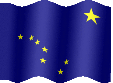 Flying Flag of Alaska