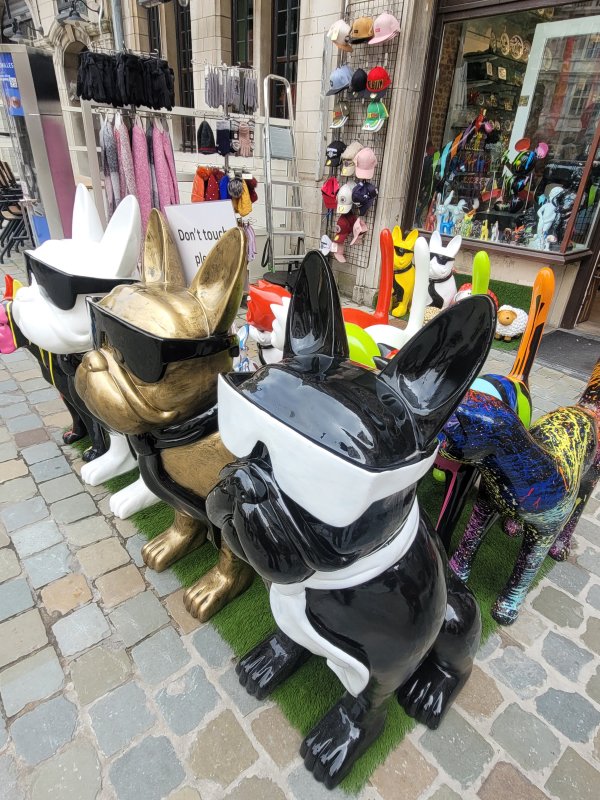 Cool Doggies, Antwerp, Belgium