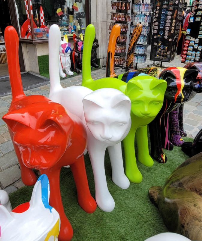 Colourful Moggies, Antwerp, Belgium