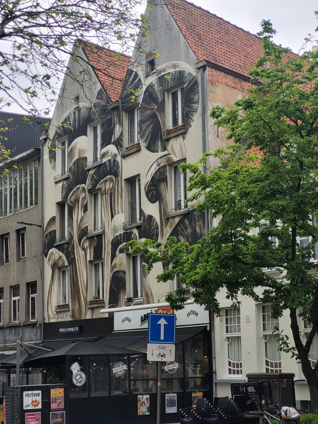 Mushroom Mural, Sint-Jansvliet, Antwerp, Belgium