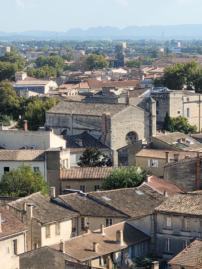Synagogue, Avignon, France
