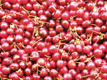 Cherries