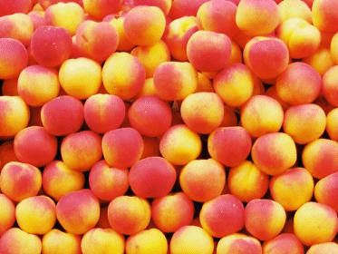 Looking at the Peaches