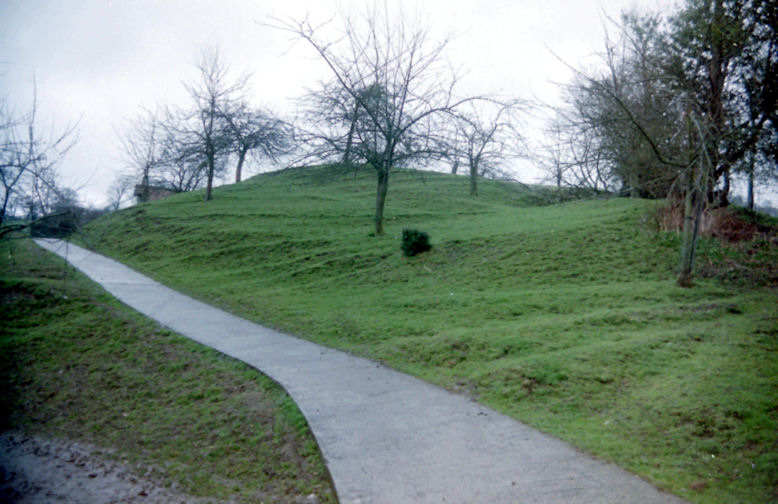 Byton Castle, Herefordshire