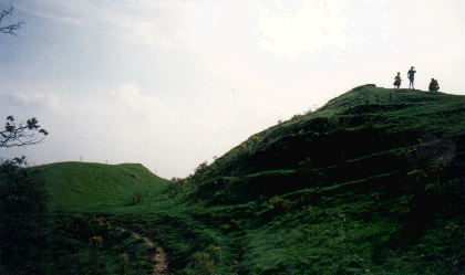Cadbury Castle, Somerset