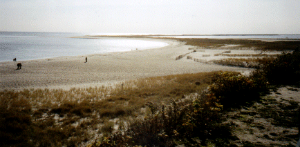 Cape Cod scenery near Chatham, MA, USA