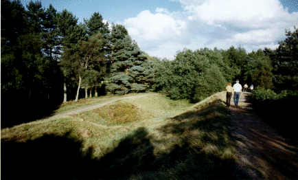 Castle Ring, Staffordshire