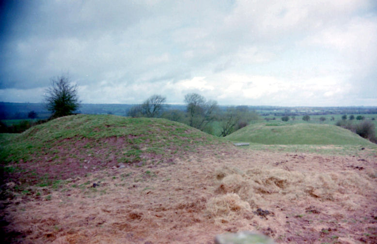 Castleton Castle, Herefordshire