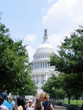 The Capitol Building, Washington DC, USA