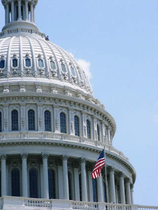 The Capitol Dome, Washington DC, USA