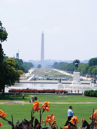 View from the Capitol Steps, Washington DC, USA