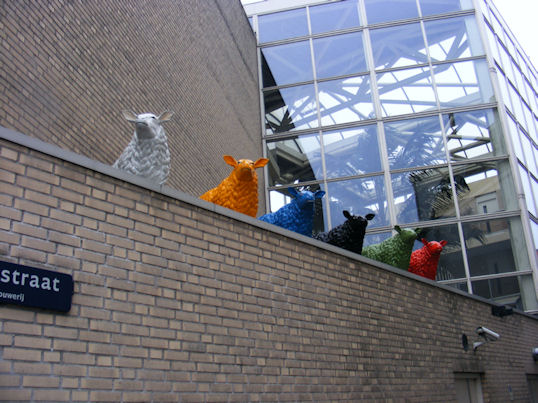 The Colourful Sheep of Dordrecht, The Netherlands
