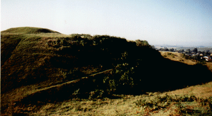 Dowsborough Castle, Somerset