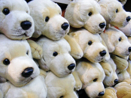 Doggies in FAO Schwartz, NYC, USA