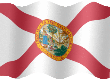 Flying Flag of Florida