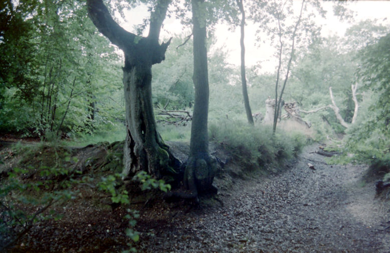 Harlequin's Castle, Buckinghamshire