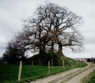Hope Castle, Shropshire