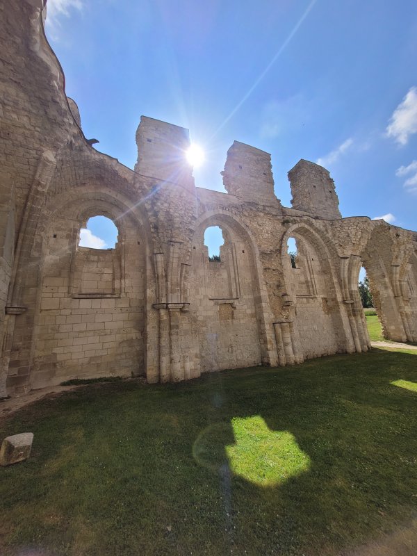 Morning Sun at the Abbaye de Jumi�ges, Normandy, France