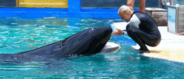 After the Show - Miami Seaquarium, Florida, USA