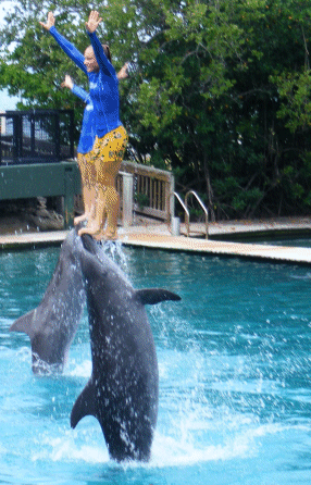 Dolphins and Girls in Harmony! Seaquarium, Miami, FL, USA