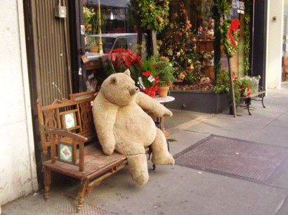 A Bear on A Bench, New York, USA