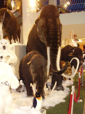 A Mammoth Problem? FAO Schwartz, New York, USA