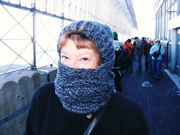 Wrapped Up, New York, USA