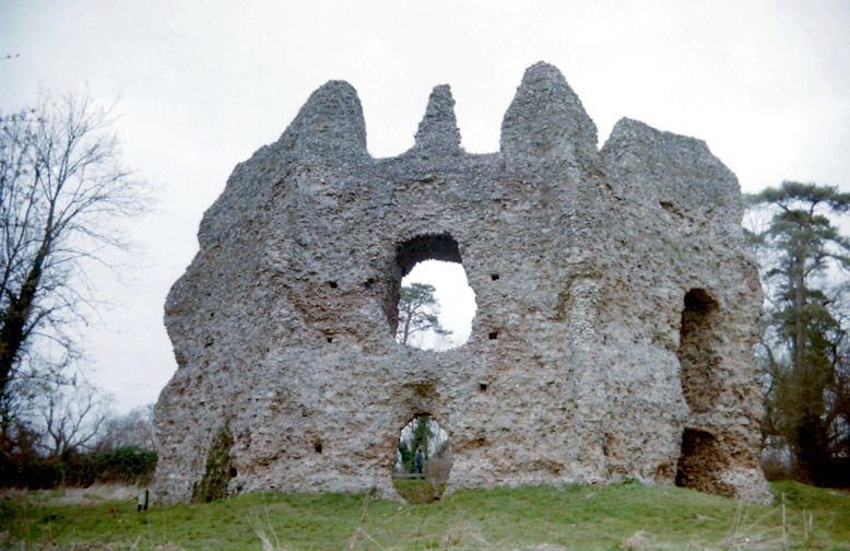 Odiham Castle, Hampshire