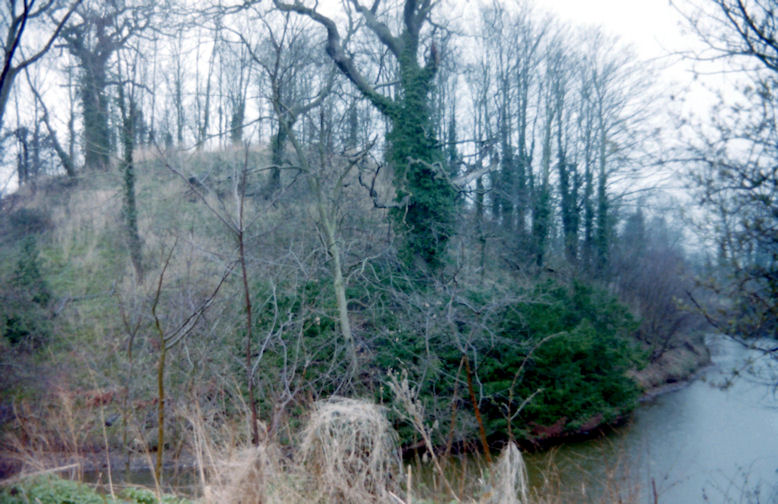 Ongar Castle, Essex