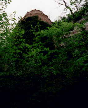 Red Castle, Shropshire