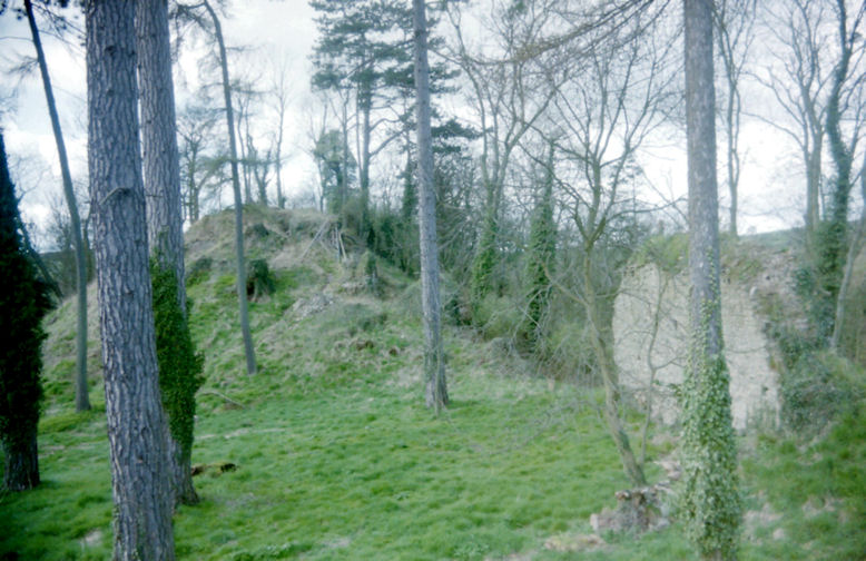 Richard's Castle, Herefordshire