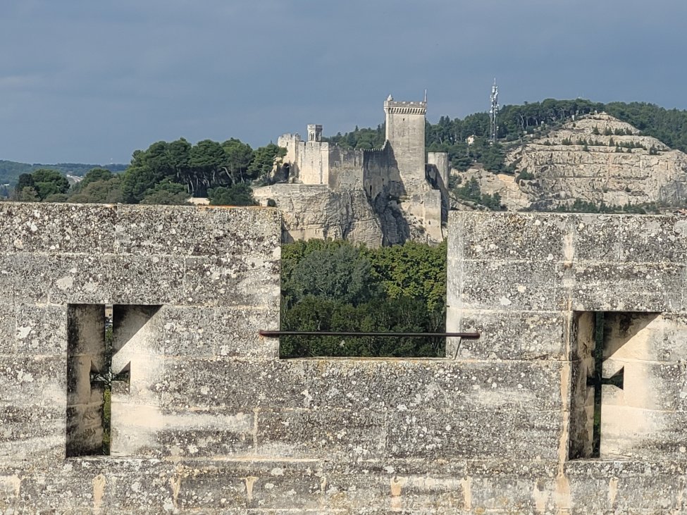 View from Tarascon Castle to Beaucaire Castle, France