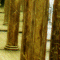 Thumbnail 2000 (71)