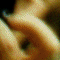 Thumbnail 2000 (102)