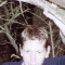 Thumbnail 2000 (98)