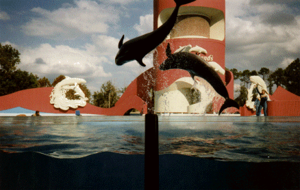 SeaWorld, Florida, USA