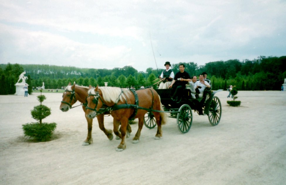 Carriage Rides, Palace of Versailles, �le-de-France, France