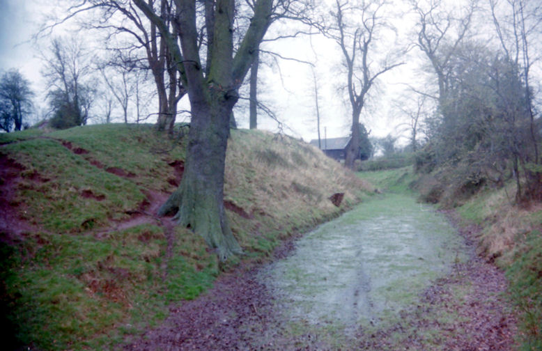 Weobley Castle, Herefordshire