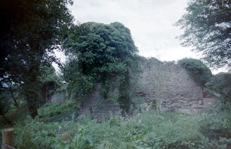 Wilton Castle, Herefordshire